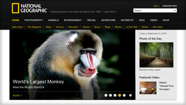 免费ddos在线攻击测试网站